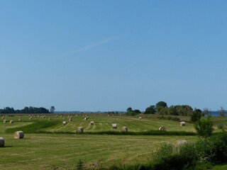 Blick aus dem Schlafraum