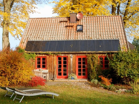Ferienhaus Rohrdommel