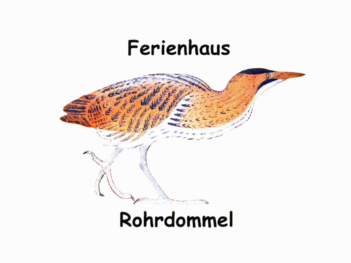 ferienhaus rohrdommel, müritz nationalpark, müritz, 1 Küchenzeile Zeichnung ~ ferienhaus rohrdommel, müritz nationalpark, müritz, 1