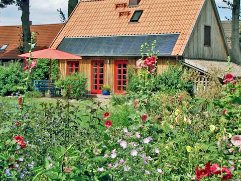 Ferienhaus Rohrdommel