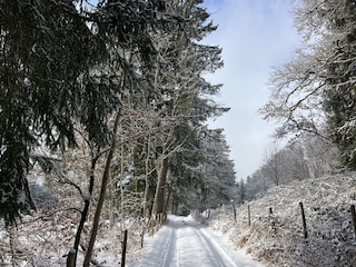 Holiday house Murnau am Staffelsee Environment 39