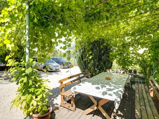 vine arbour