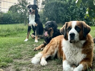 Frau Andrea Schlabes