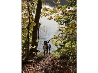 Hunde sind herzlich willkommen