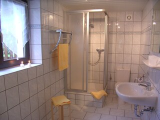 Holiday apartment Bad Schandau Bathroom 4