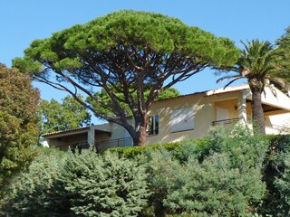 Villa Les Issambres Buitenaudio-opname 3