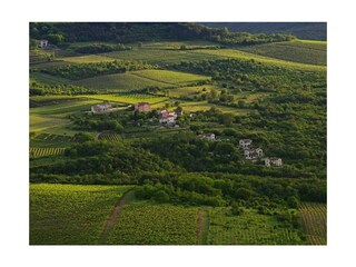 Ferienhaus Motovun Umgebung 17