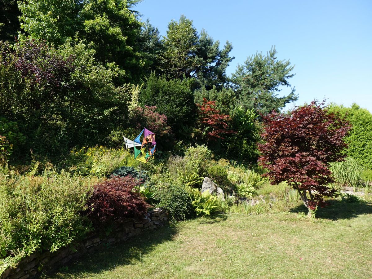 Garden (lower part)