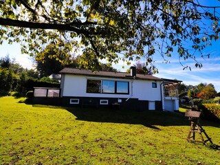 Panoramafenster zum Garten