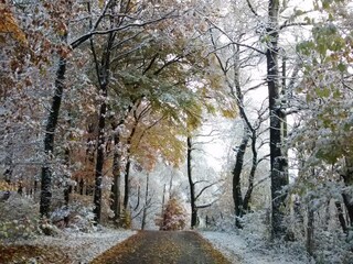 Früher Wintereinbruch