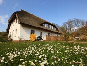 Ferienwohnung Kiekenbusch Oben West - Groß Zicker - image1