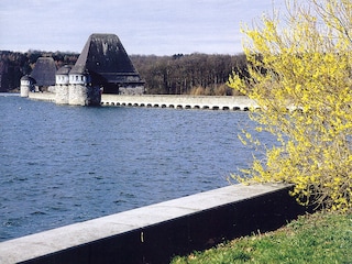 Möhnesee, Sperrmauer