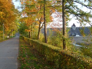 Herbstwald am Ausgleichsweiher