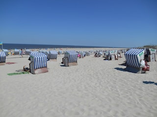 Ein Tag am Meer...