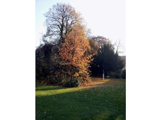 Herbst im Park