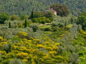 Villa Antonino - Montecatini Val di Cecina - image1