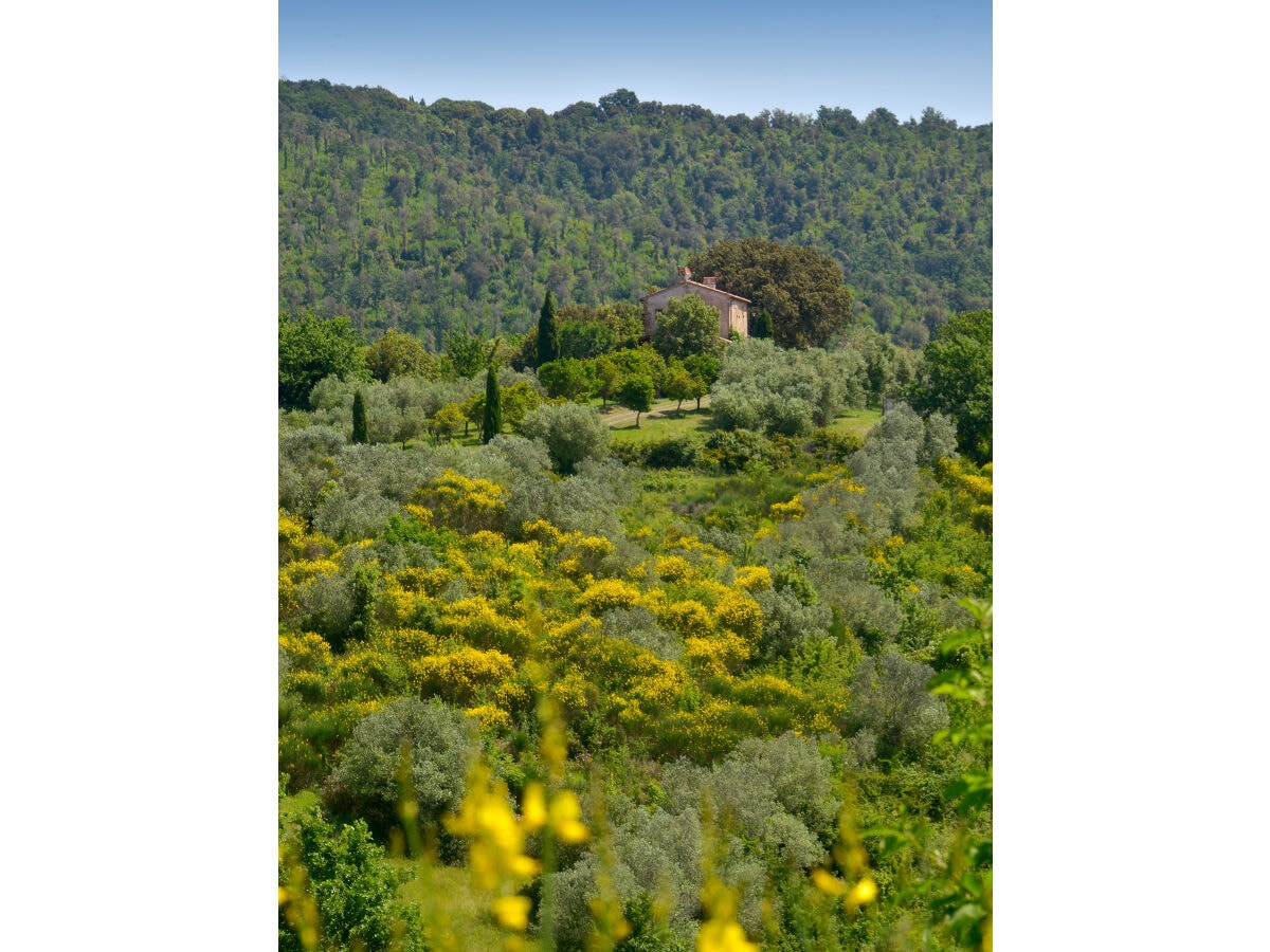 Villa mit Landschaft