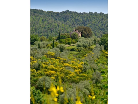 Villa Antonino