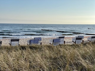 Ferienwohnung Kühlungsborn-West Umgebung 23