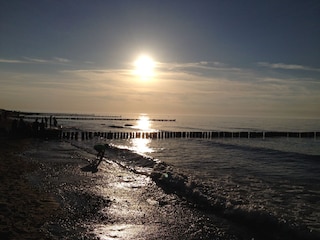 Holiday apartment Kühlungsborn-West Environment 18