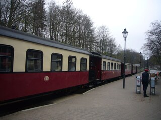 Holiday apartment Kühlungsborn-West Environment 21