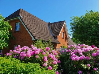 Appartamento per vacanze Rendsburg Registrazione all'aperto 7