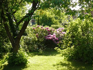 Appartamento per vacanze Rendsburg Ambiente 13