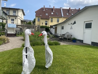 Die wachenden Gänse.