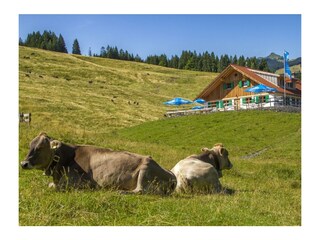 Wanderziel Untere Bichler Alpe