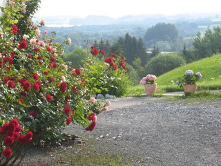 Blick zum Grüntensee