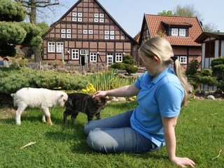 Appartamento per vacanze Wunstorf Ambiente 7