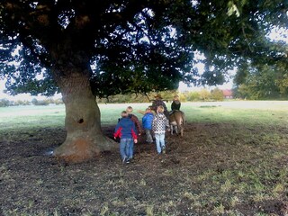 Appartamento per vacanze Wunstorf Ambiente 9