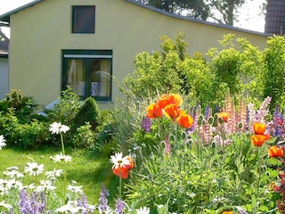 Blick in den Garten