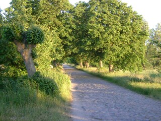 Holiday house Glowe Environment 29