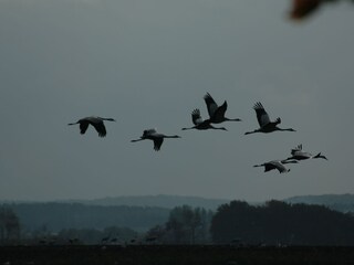 Holiday house Glowe Environment 31