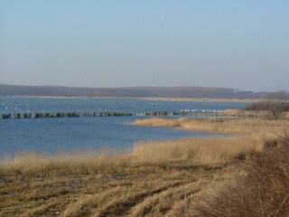 Holiday house Glowe Environment 32