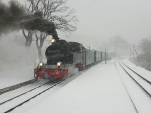 Ferienhaus Schwedenhaus Polchow