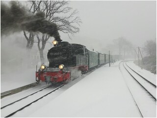 Holiday house Glowe Environment 1