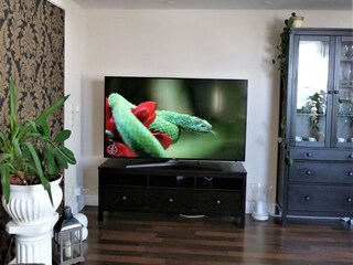 65" TV