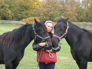 Honey Moon und Ma Belle