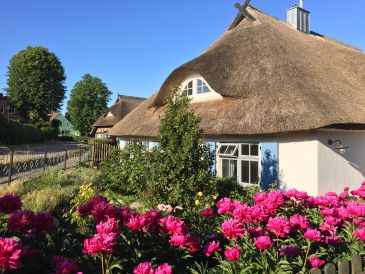 Holiday house Büdnerei Wustrow