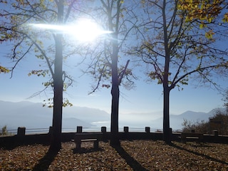 Vakantieappartement Porto Valtravaglia Omgeving 36