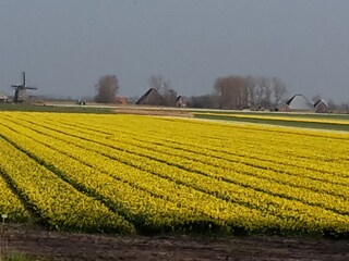 Appartamento Sint Maartensbrug Registrazione all'aperto 2