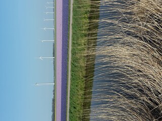 Appartamento Sint Maartensbrug Registrazione all'aperto 3