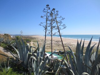 Appartamento per vacanze Conil de la Frontera Ambiente 20