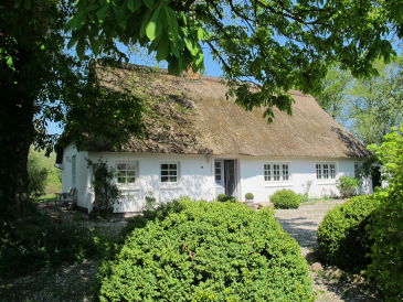Ferienhaus Hollerbusch