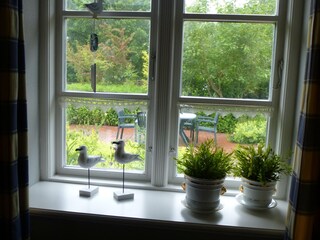 Holzfenster Gartenblick