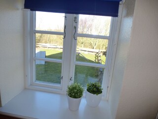 Blick aus dem Schlafzimmer