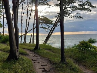 Blick von der Steilküste auf die See