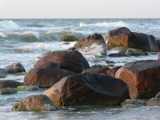 Findlinge im Herbst